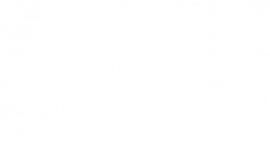 Logo academia millenium